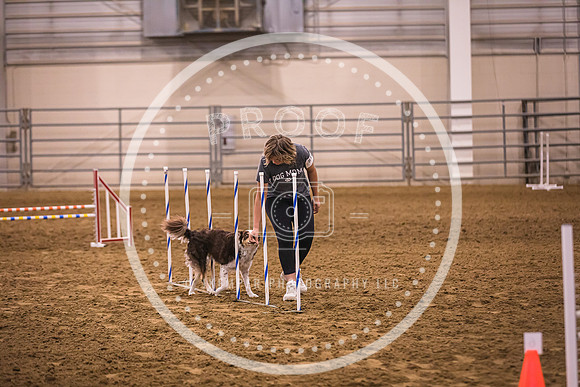 Dog Agility-0031