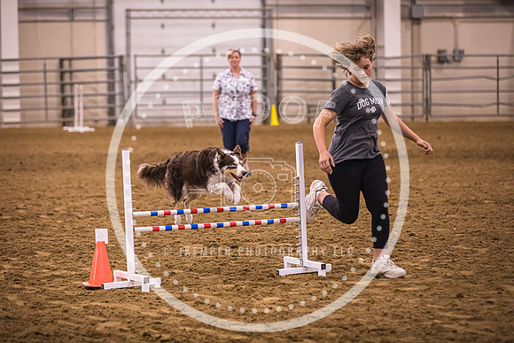 Dog Agility-0032