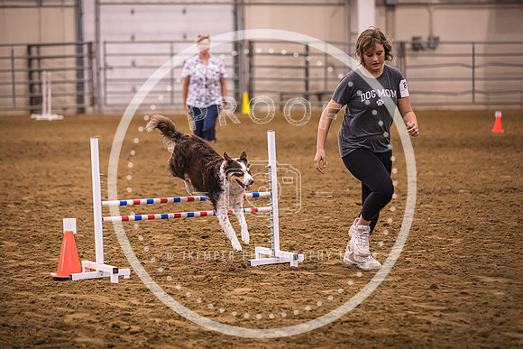 Dog Agility-0033