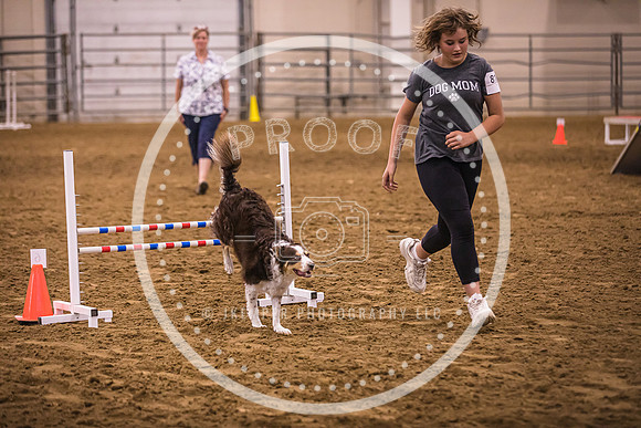 Dog Agility-0034