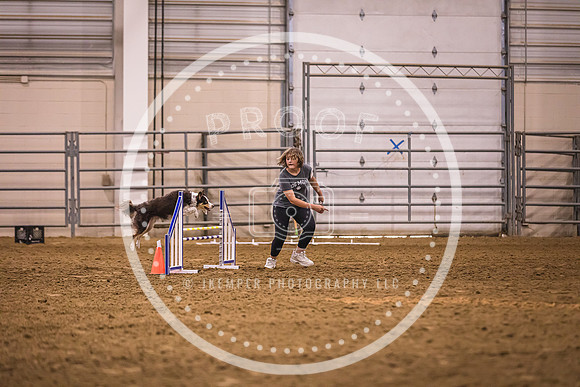 Dog Agility-0041