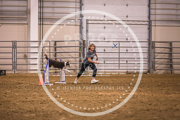 Dog Agility-0042