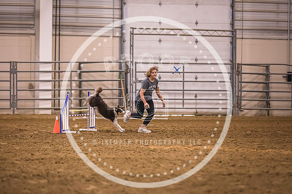 Dog Agility-0043