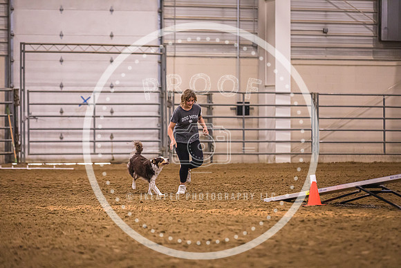 Dog Agility-0045