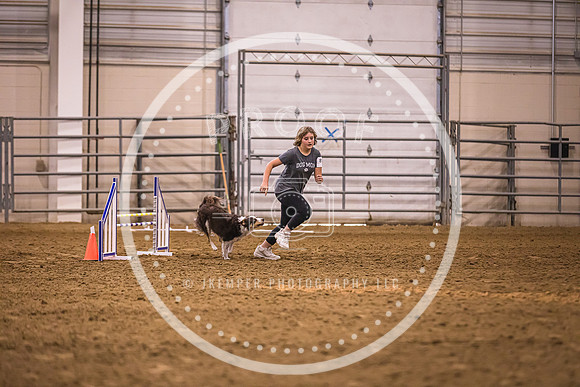 Dog Agility-0044