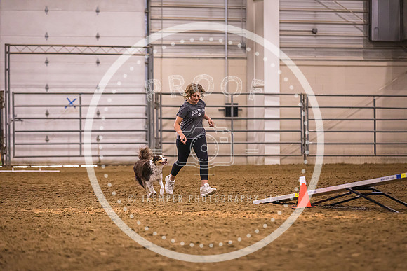 Dog Agility-0046