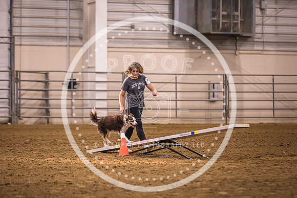 Dog Agility-0047