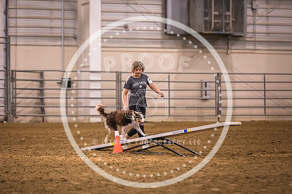 Dog Agility-0048