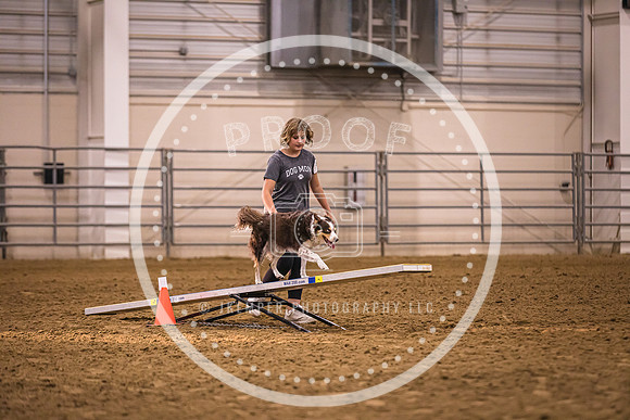 Dog Agility-0049