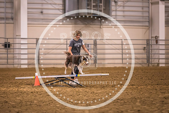 Dog Agility-0050