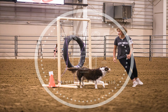 Dog Agility-0051