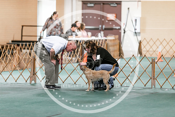 2024 4-H Dog Show SATURDAY-7295