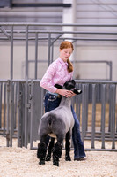 Sheep Showmanship-3605