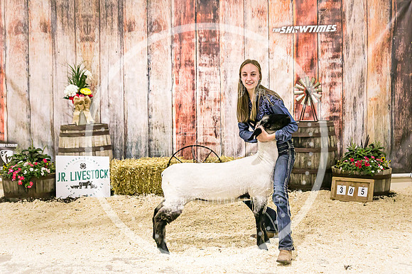 Sheep Backdrop-5616