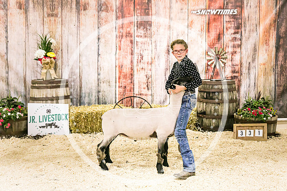 Sheep Backdrop-5644
