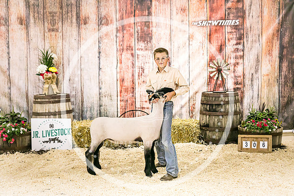 Sheep Backdrop-5639