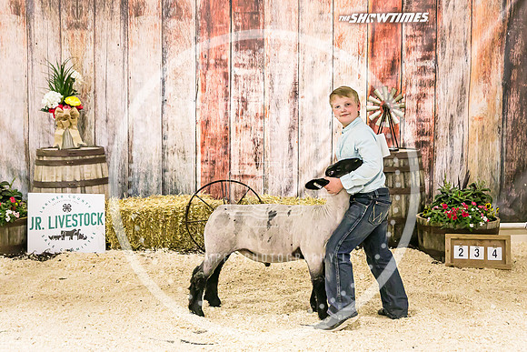 Sheep Backdrop-5695