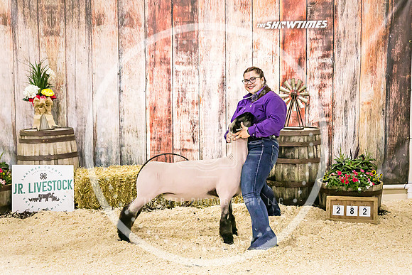 Sheep Backdrop-5771