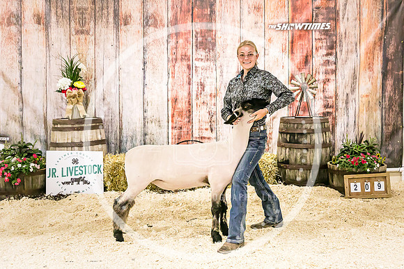 Sheep Backdrop-5801