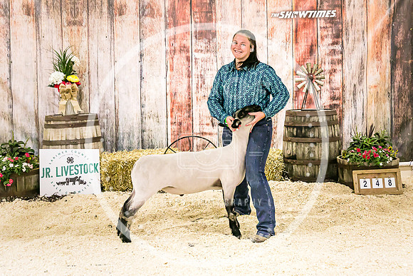Sheep Backdrop-5794