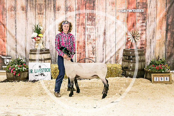 Sheep Backdrop-5842