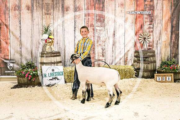 Sheep Backdrop-5830
