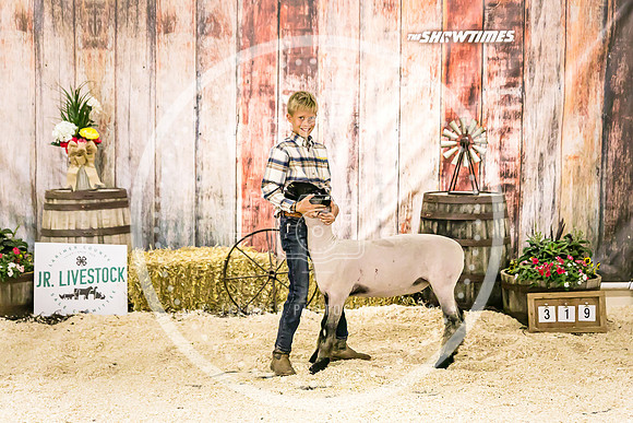 Sheep Backdrop-5847
