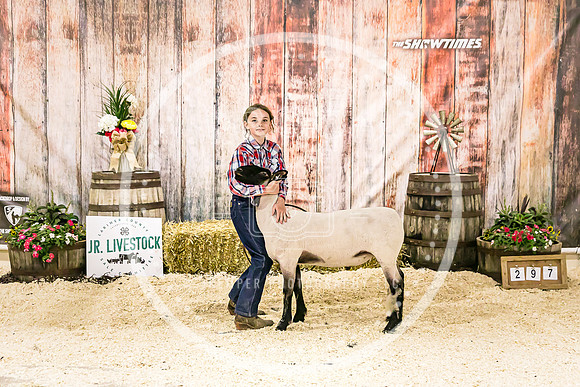 Sheep Backdrop-5878