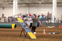 2024 4-H Dog Show AGILITY-18