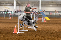 2024 4-H Dog Show AGILITY-17