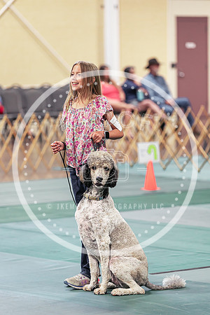2024 4-H Dog Show SATURDAY-7310