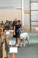 2024 4-H Dog Show SATURDAY-7268