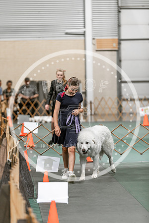 2024 4-H Dog Show SATURDAY-7268