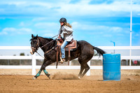 2025 4-H Horse
