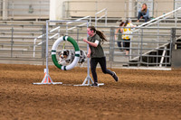 2024 4-H Dog Show AGILITY-10