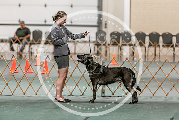 2024 4-H Dog Show SATURDAY-7262