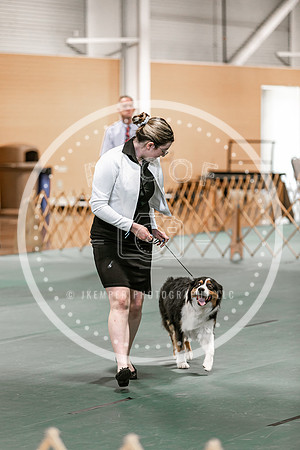 2024 4-H Dog Show SATURDAY-7261