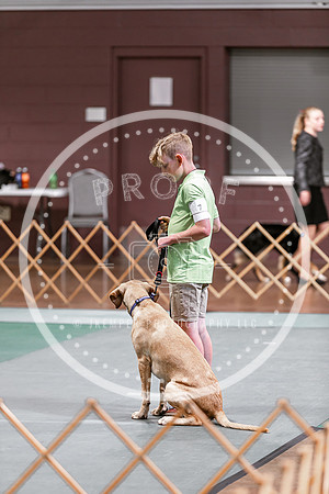 2024 4-H Dog Show SATURDAY-7249