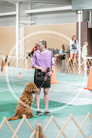 2024 4-H Dog Show SATURDAY-7285