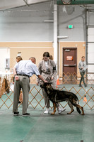2024 4-H Dog Show SATURDAY-7243