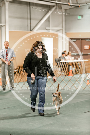 2024 4-H Dog Show SATURDAY-7298