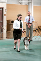2024 4-H Dog Show SATURDAY-7260