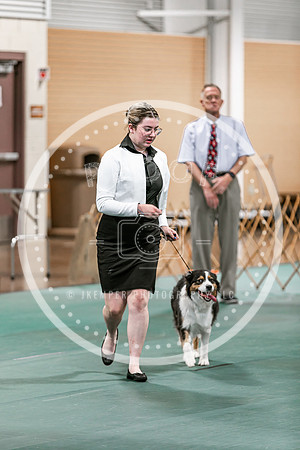 2024 4-H Dog Show SATURDAY-7260