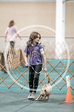 2024 4-H Dog Show SATURDAY-7280