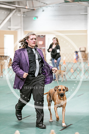 2024 4-H Dog Show SATURDAY-7293