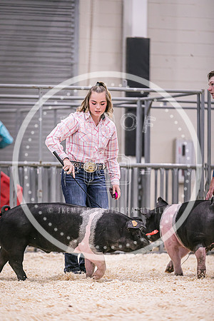 Swine Showmanship-6038