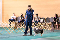 Dog Obedience 2021-5409