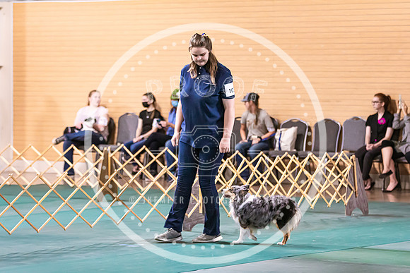 Dog Obedience 2021-5409
