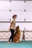 Dog Obedience 2021-5411