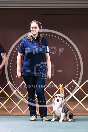 Dog Obedience 2021-5428